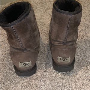 Classic Short Chocolate Uggs